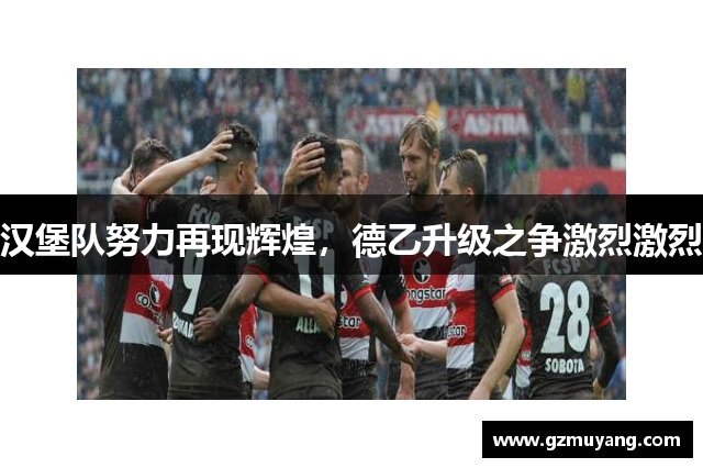 汉堡队努力再现辉煌，德乙升级之争激烈激烈