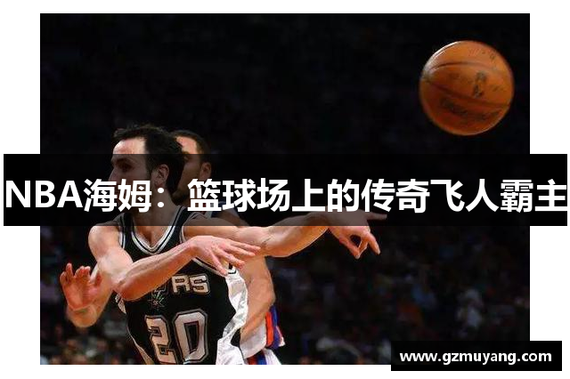 NBA海姆：篮球场上的传奇飞人霸主