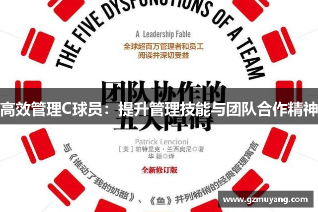 高效管理C球员：提升管理技能与团队合作精神