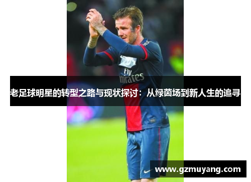 老足球明星的转型之路与现状探讨：从绿茵场到新人生的追寻