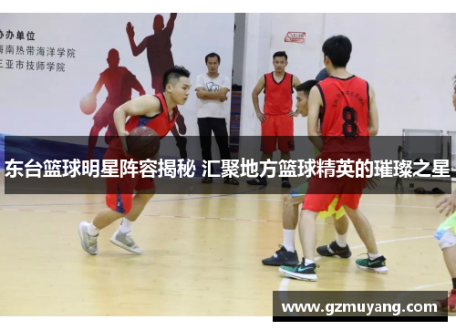 东台篮球明星阵容揭秘 汇聚地方篮球精英的璀璨之星