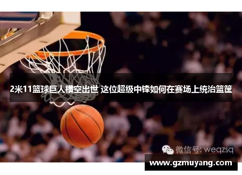 2米11篮球巨人横空出世 这位超级中锋如何在赛场上统治篮筐